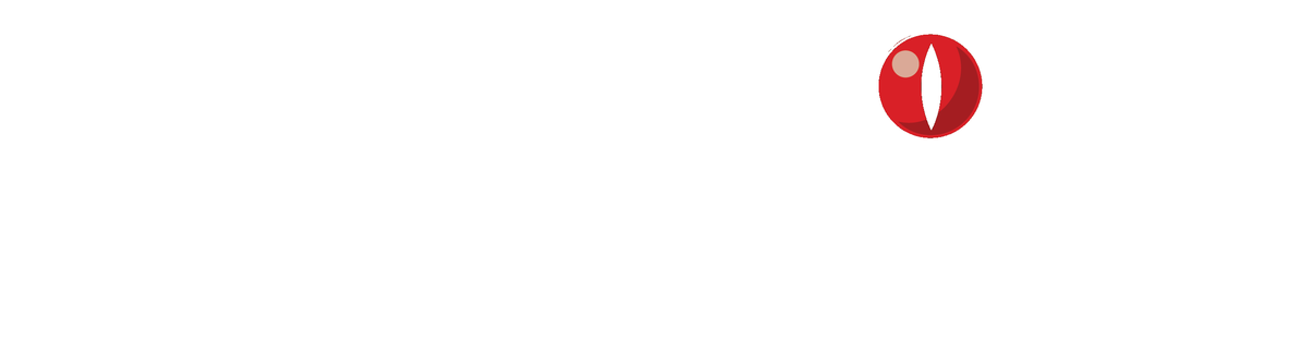 RaptorVision